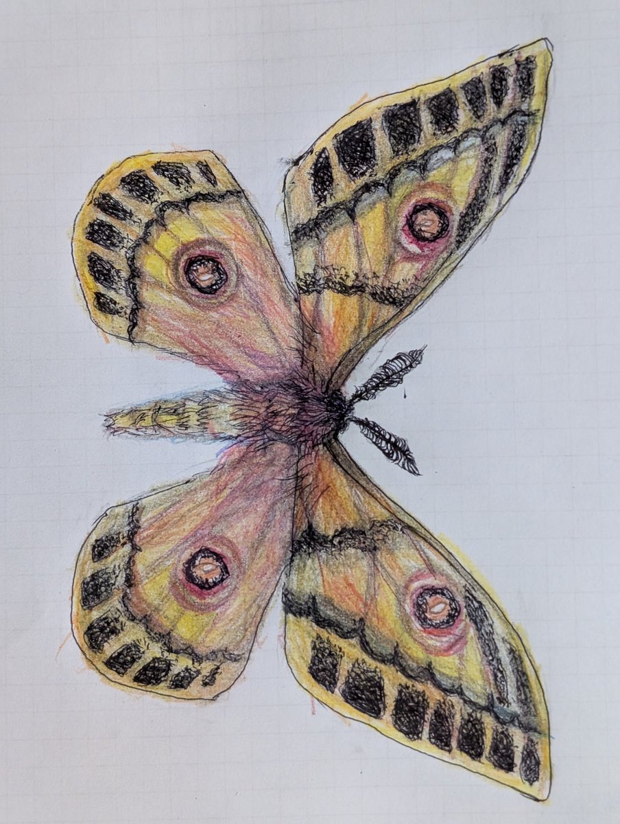 ☆♦モスキート号10クラスです♦️引き取りにこれる方限定ですm(__)m ☆♢モスキート号10クラスです♦️引き取りにこれる方限定ですm(