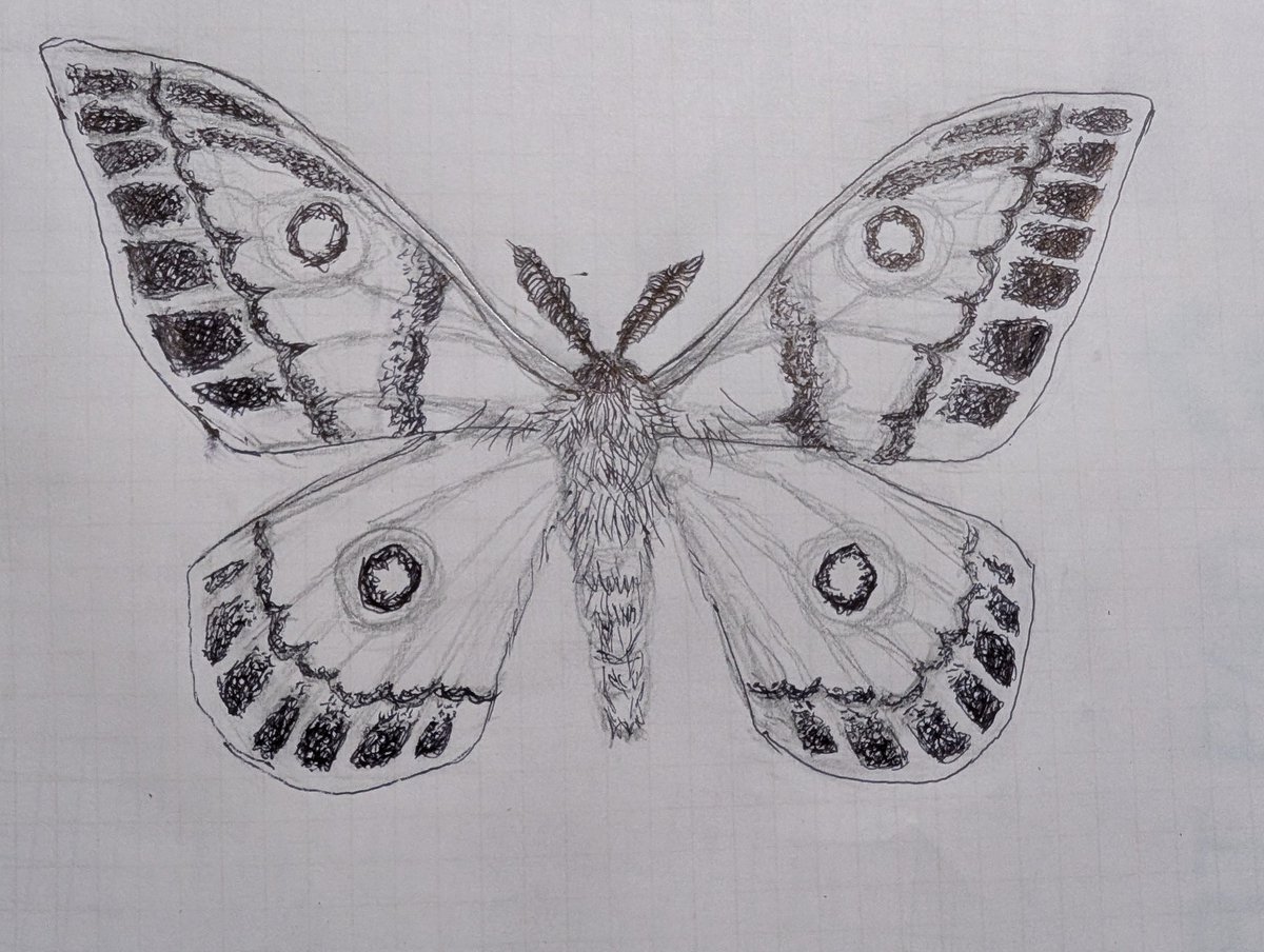 ☆♦モスキート号10クラスです♦️引き取りにこれる方限定ですm(__)m ☆♢モスキート号10クラスです♦️引き取りにこれる方限定ですm(