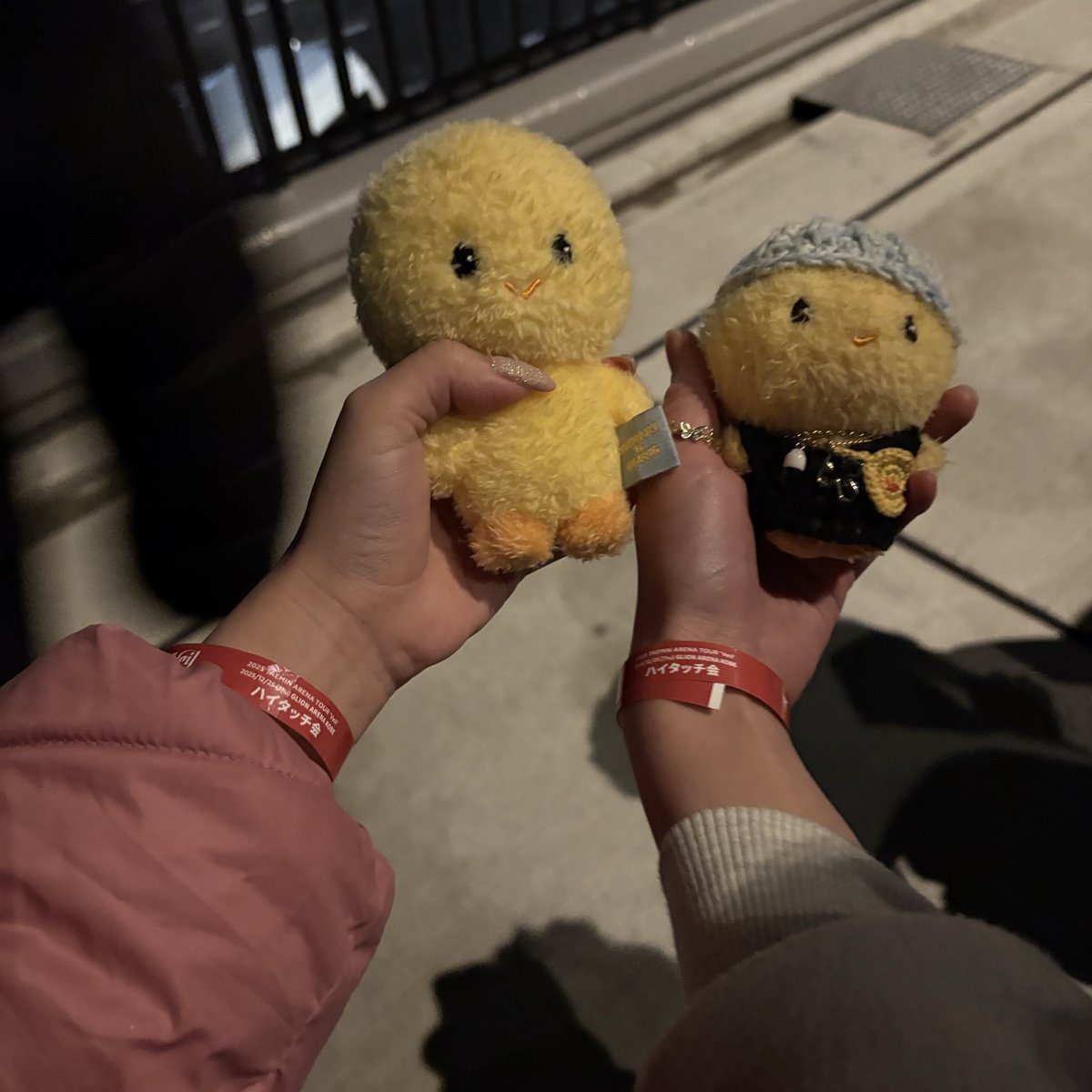 ﾒｲ(ﾋﾂ) tweet media