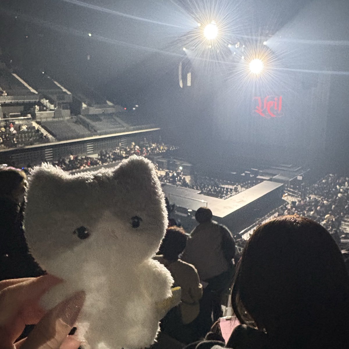 ﾒｲ(ﾋﾂ) tweet media