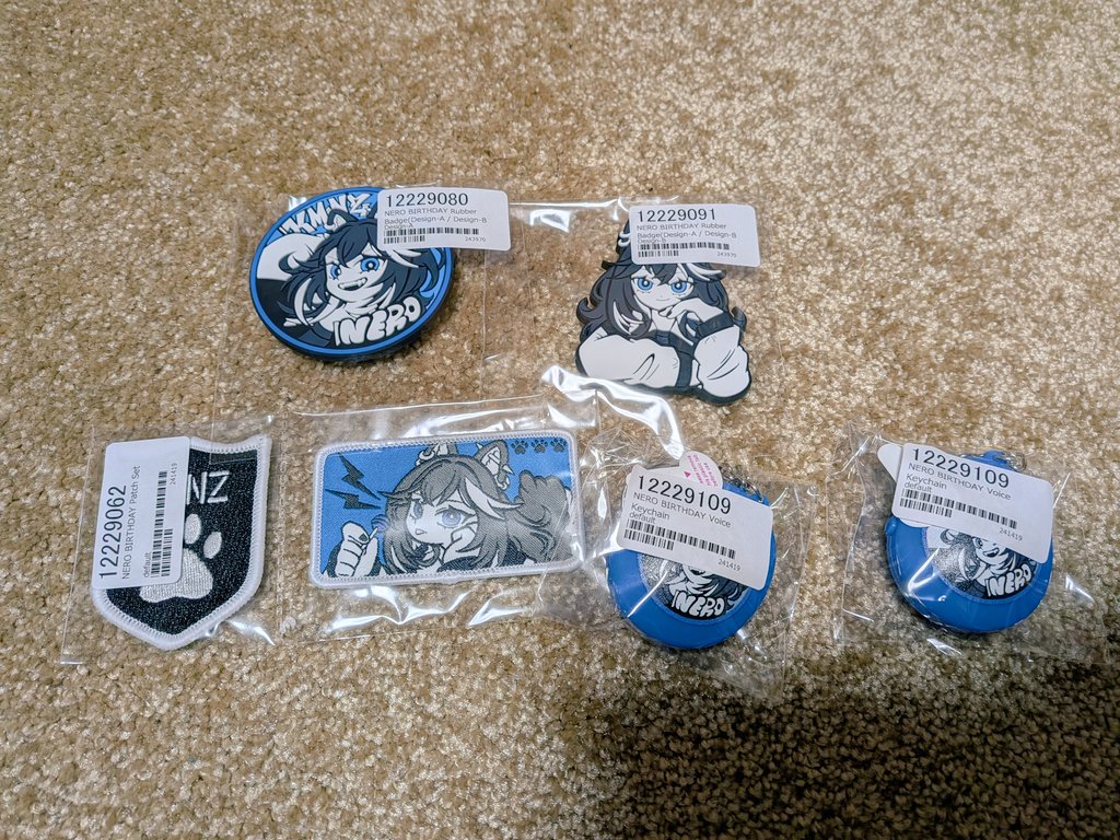 お届け明日ってなってたけど今日届いてた！
サンタさんありがとう！🥰
#ねろおきろ