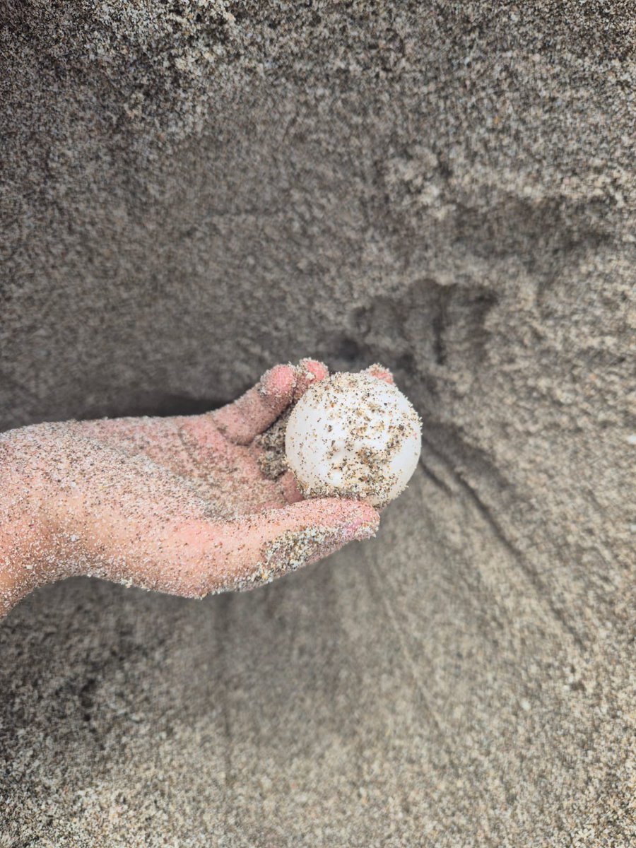 Equilibrio Azul tweet media