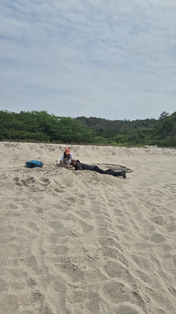 Equilibrio Azul tweet media