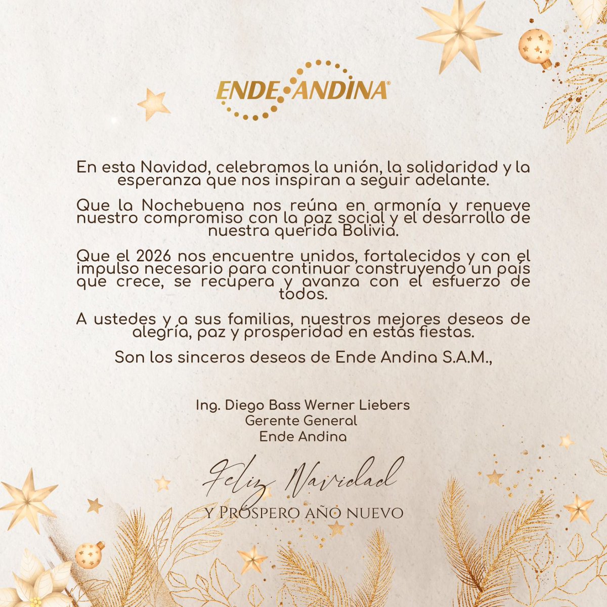 🎄✨ Ende Andina les desea unas felices fiestas