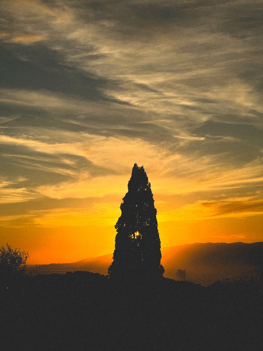 Max Pillet tweet media