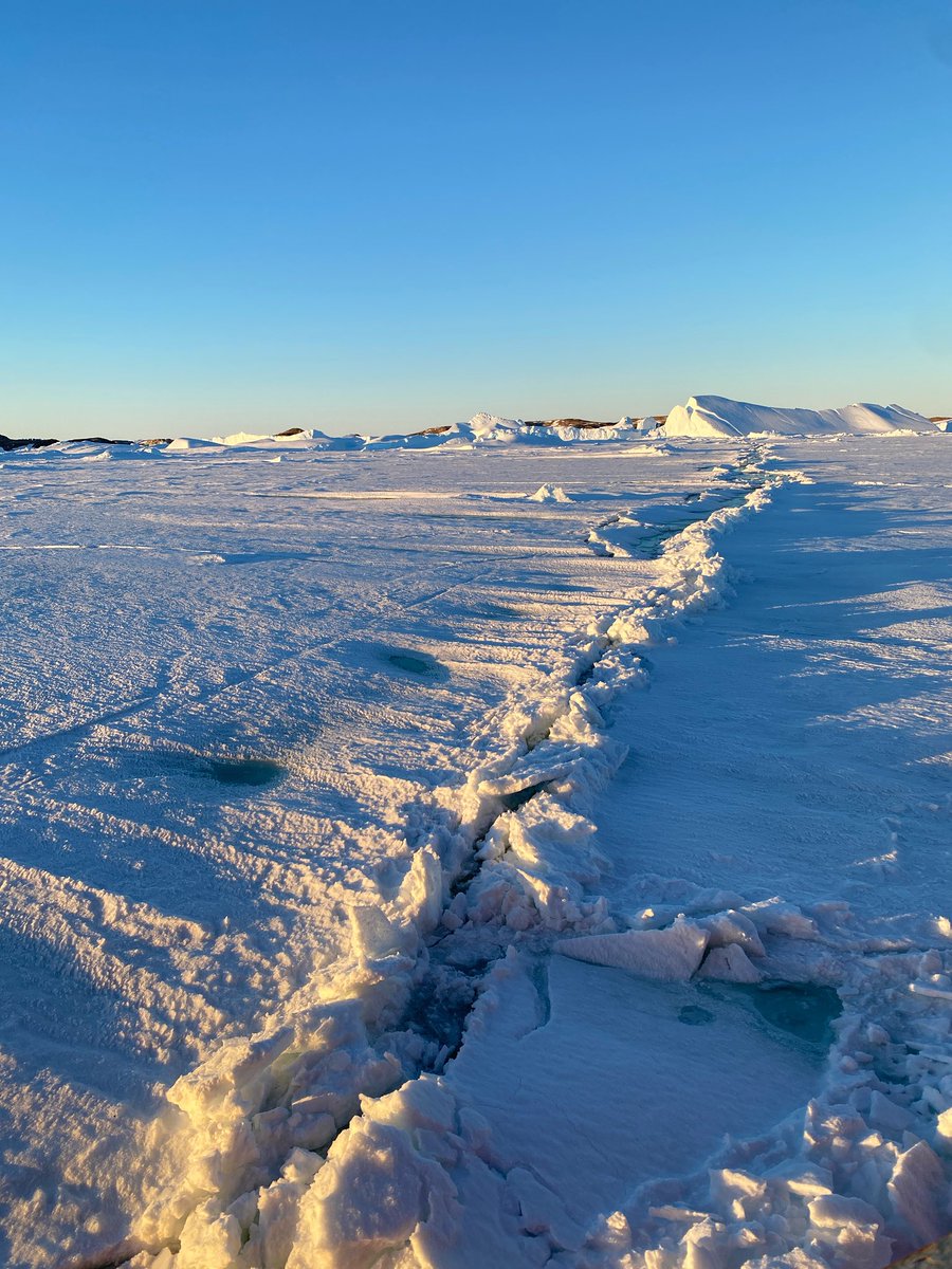 Отец-полярник tweet media