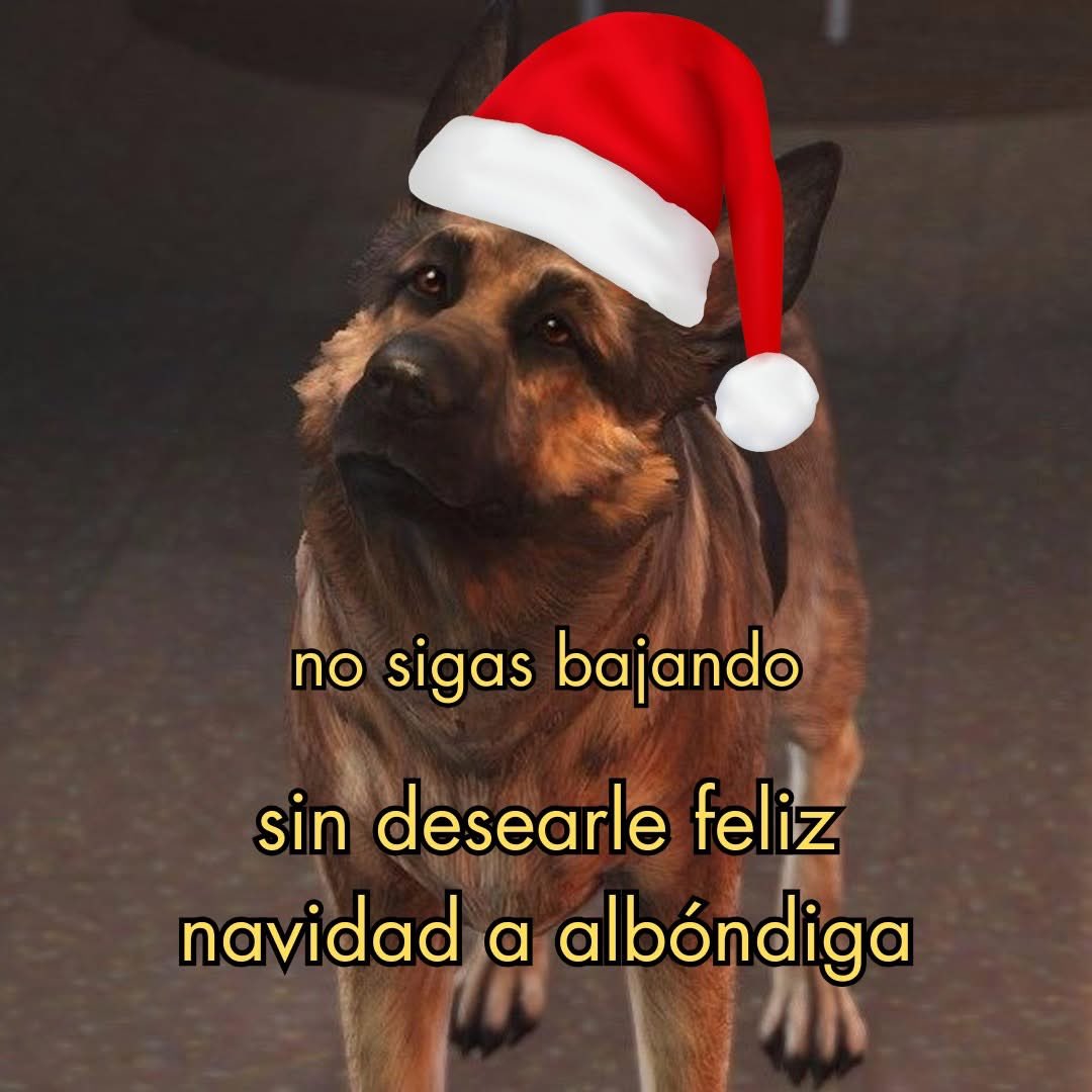 Dilo con perritos (@diloconperritos) on Twitter photo 