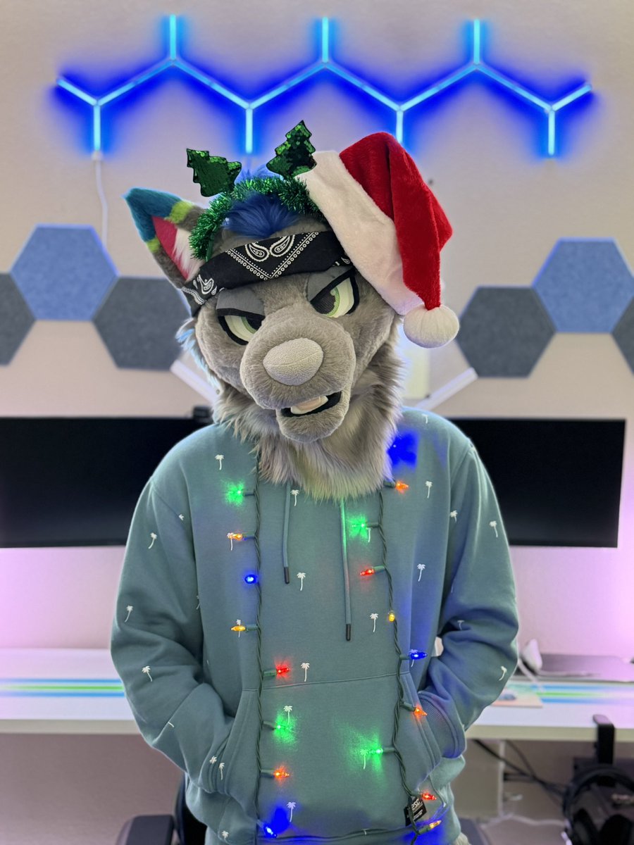 Merry Christmas Floofs! 😊💙🎄

#furry #furryfandom #fursuit