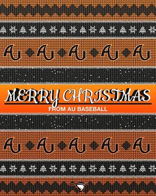 Merry Christmas from AU Baseball!