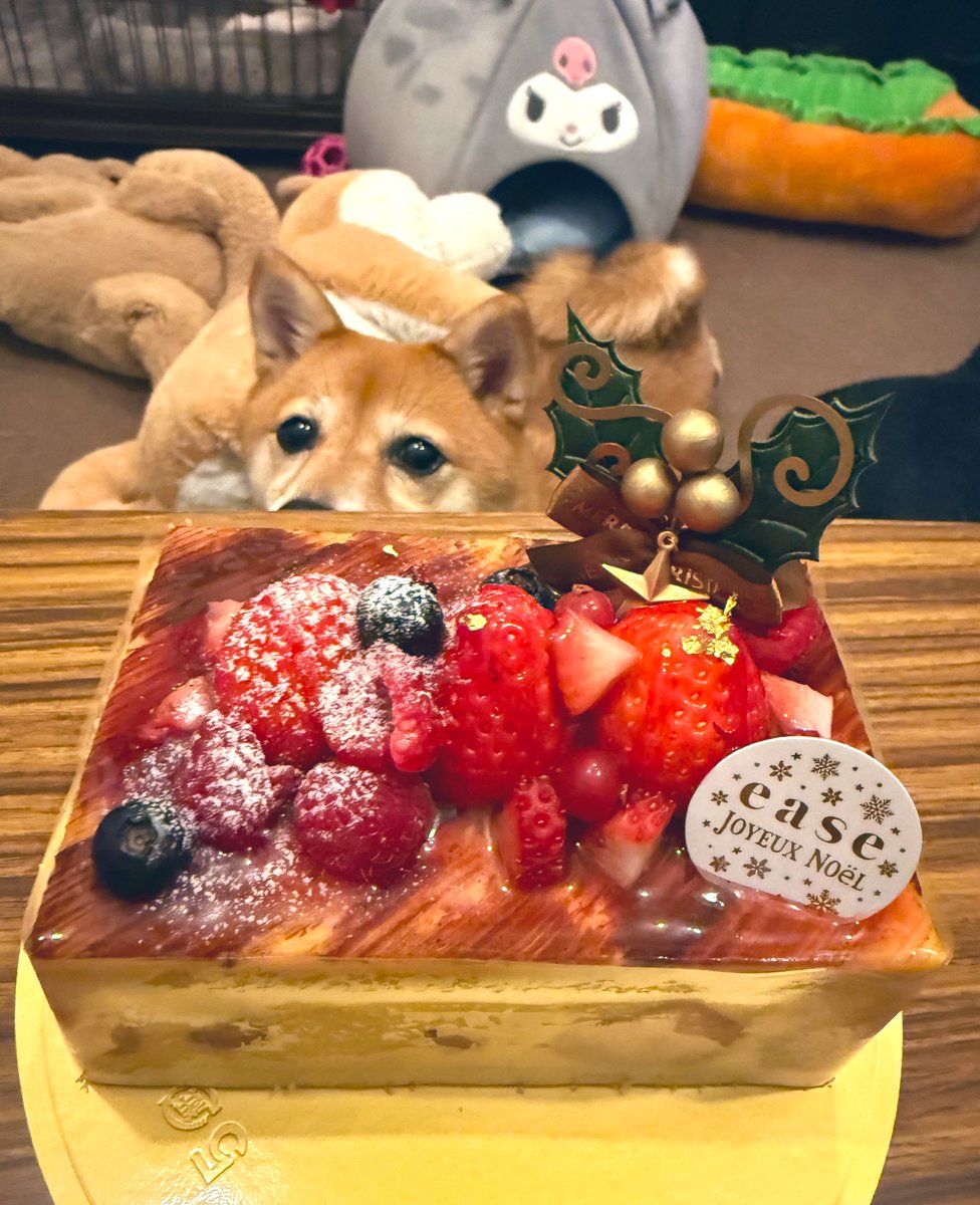 こーへい🌏 (@ko0819hey) / Posts / X