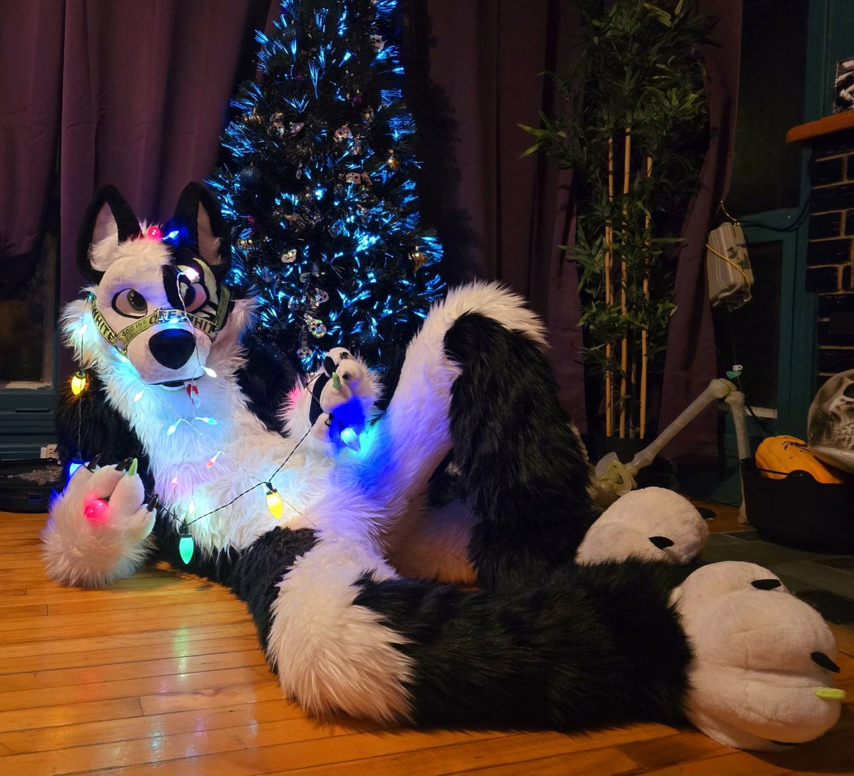 Kyba the Husky🇨🇦 commish open 🪡 🔜 FE26🇨🇦 tweet media