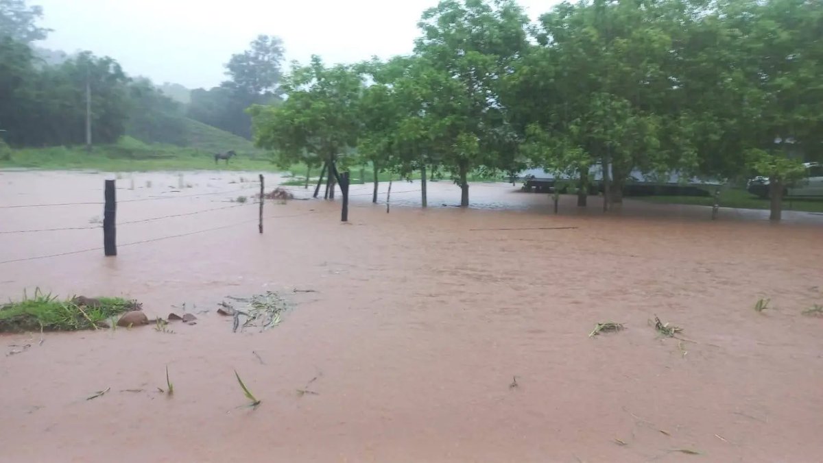 MetSul.com tweet media