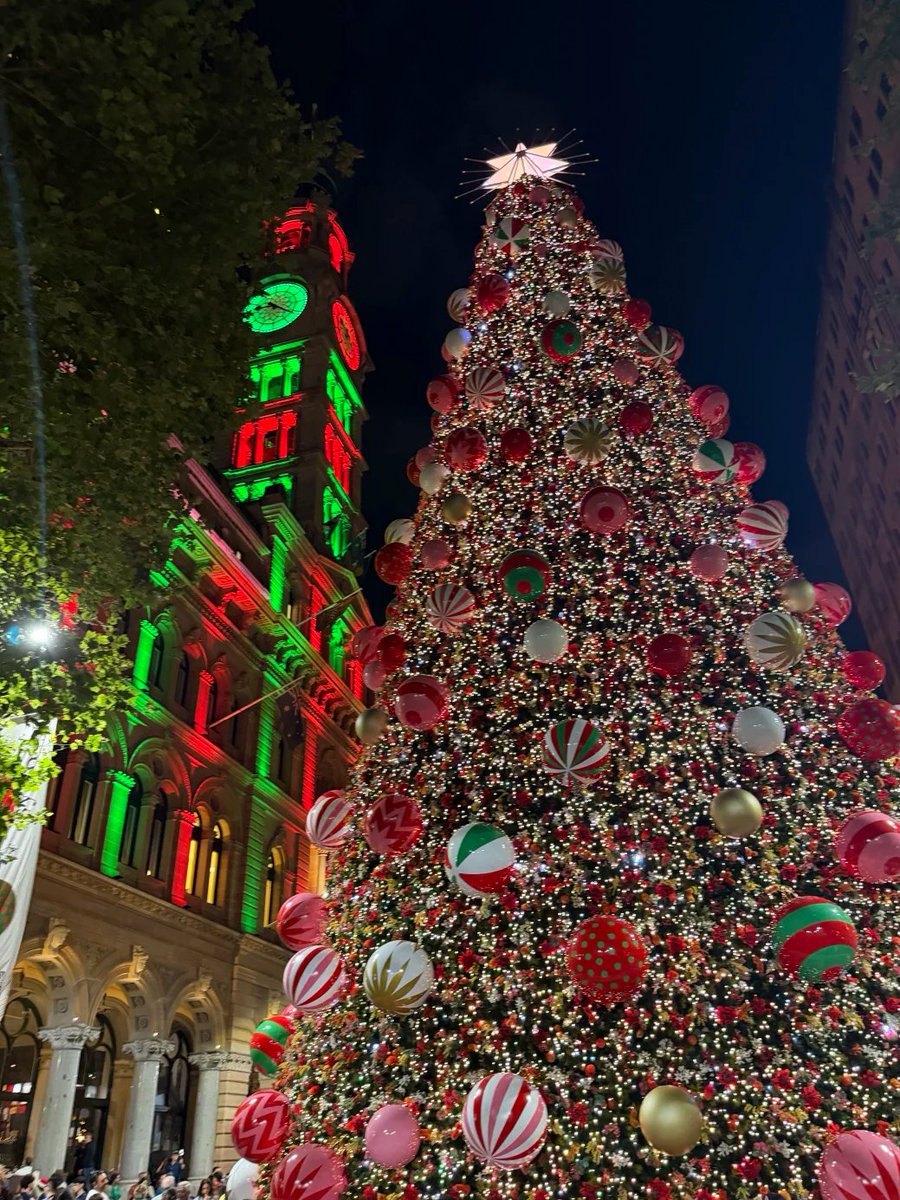 sdaeec's tweet image. 輝くクリスマスのライトと赤緑の飾りの中で、この祝祭の温かさと喜びを感じる🎅🎁 #メリークリスマス #ホリデーライト #暖かいひととき