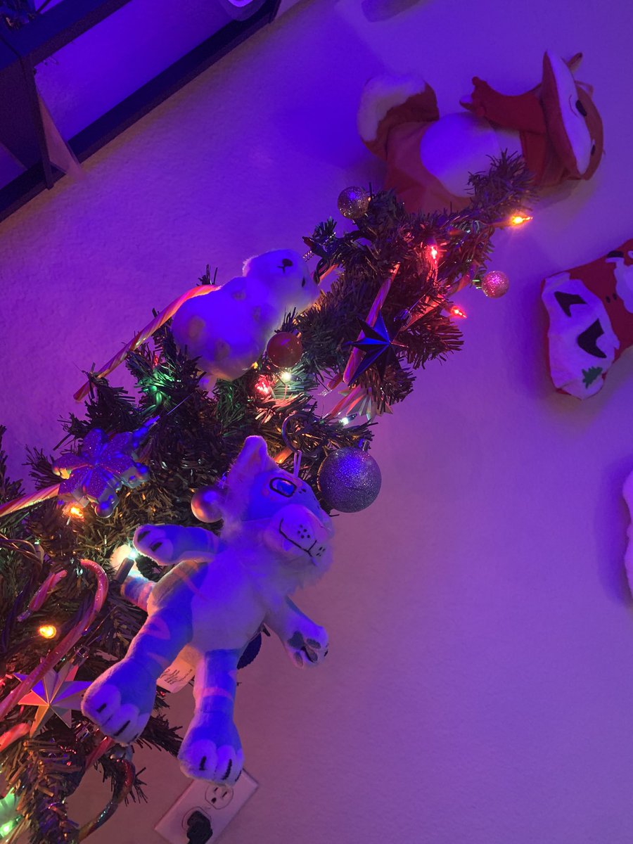 Merry Christmas everyone 

I hope each and every one of you have an absolutely amazing today. Spend time with people you love the most