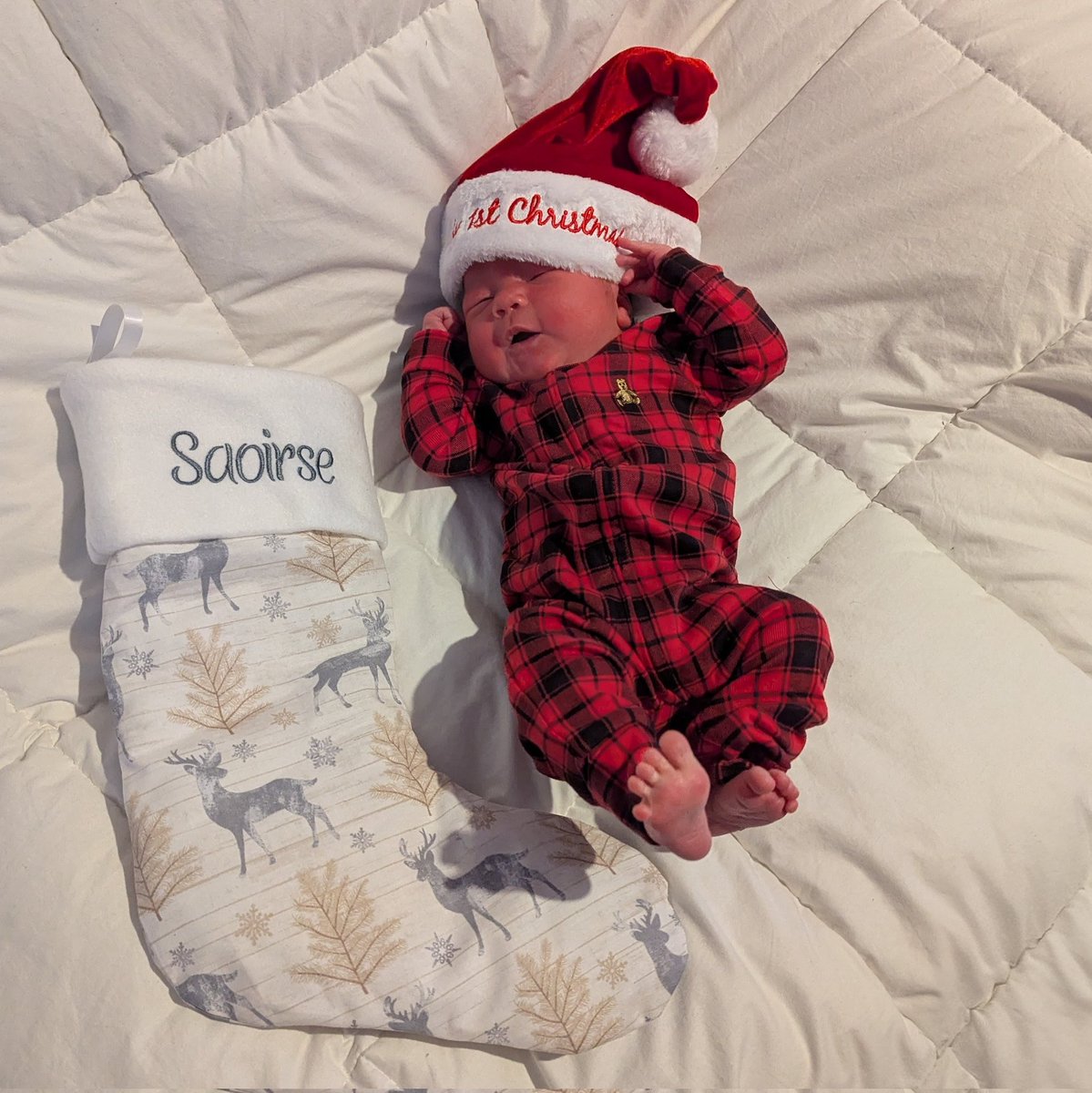 Kyle The Monster Nelson tweet media