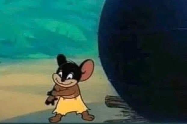 a5medv's tweet image. بكرة مصر والمغرب هيلعبوا

التوانسة والجزائريين :