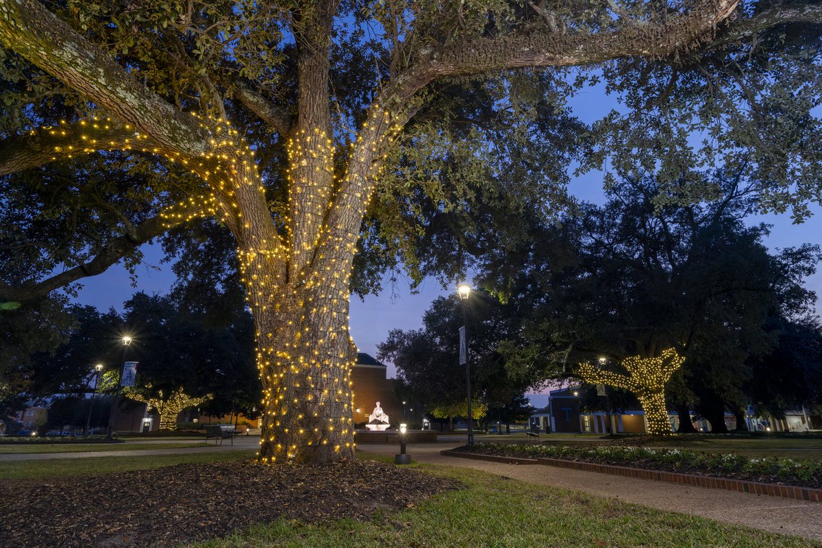 LATech's tweet image. More like "Ever Loyal Glee!" 🎄 

Merry Christmas from Louisiana Tech!