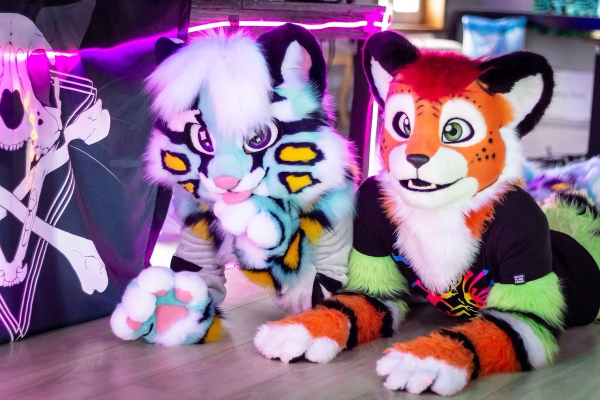 Merry Christmas 🎁 ⛄ ❄️❄️❄️
Snow leopard and my friend tiger Tisero🎄✨ Pics from 2021 ❄️ 

#snepfursuit #bigcatfursuit #catfursuit