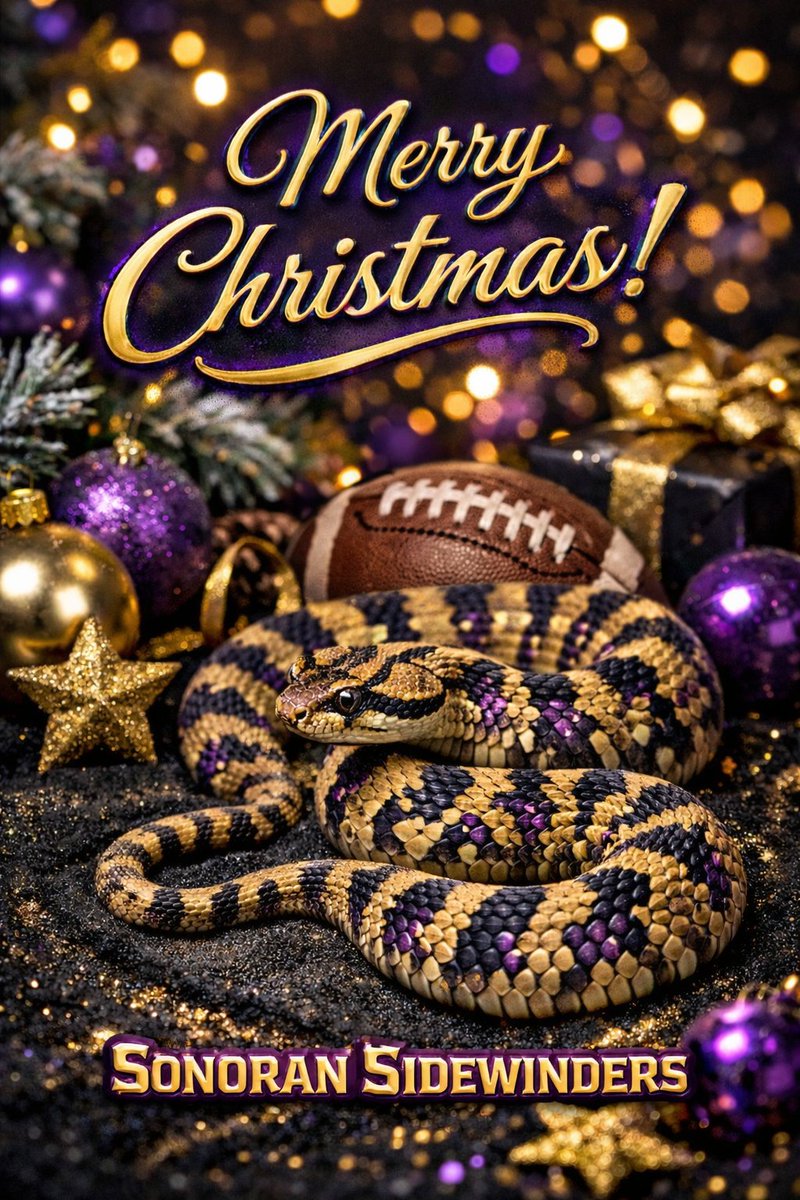 Sonoran Sidewinders Football tweet media