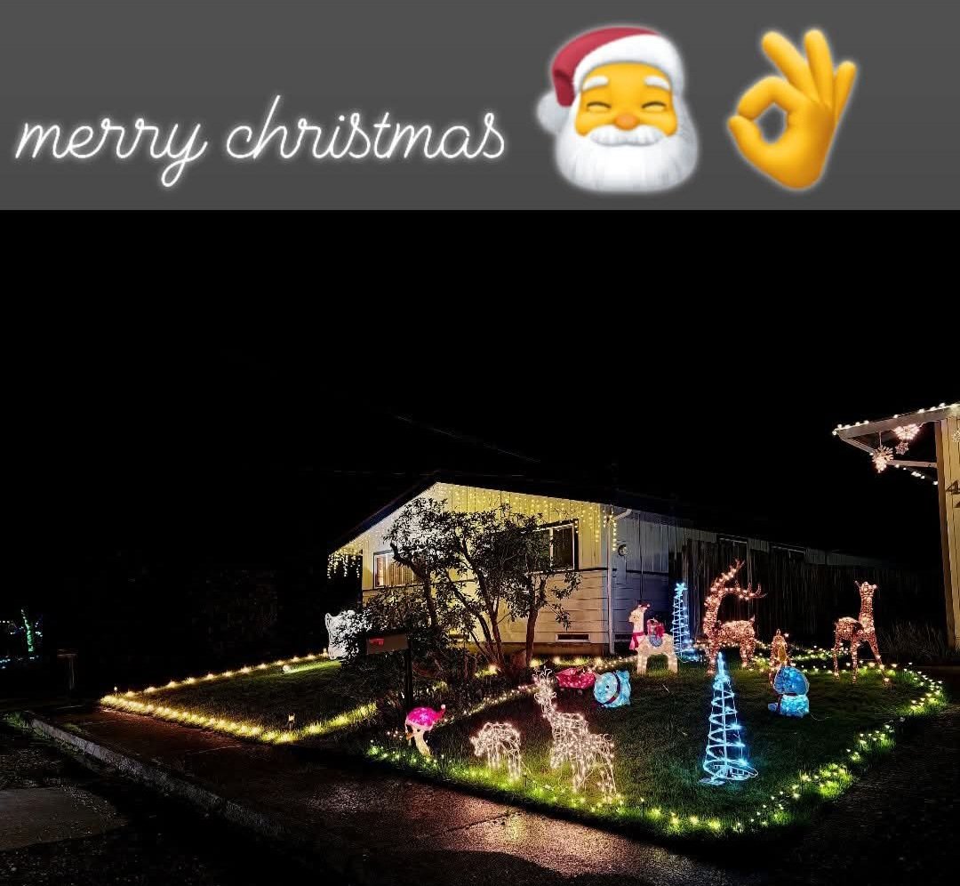 LiseEll39743275 merry christmas lise 🎅👌🎄☃️🌹🍂