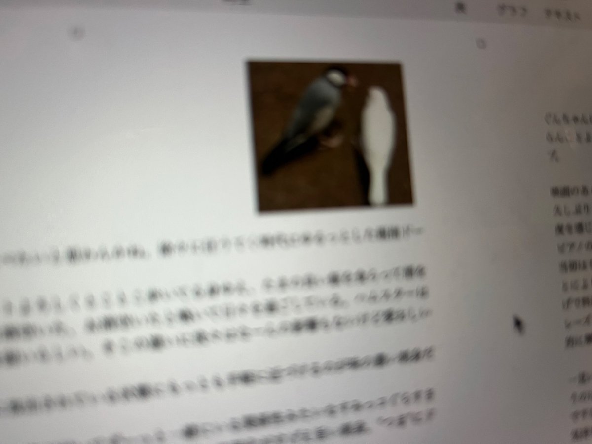 爆速でZINEの作成ピピィ
#東京暗室雪洞祭