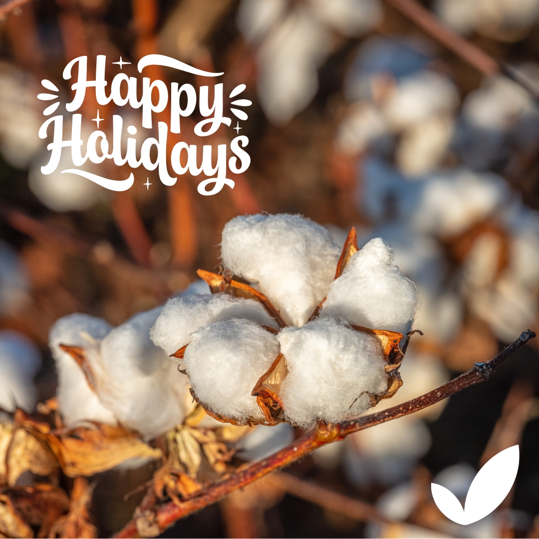 Wishing you and your loved ones a joyful and restful holiday season from all of us at the Trust Protocol!

 #TrustUSCotton