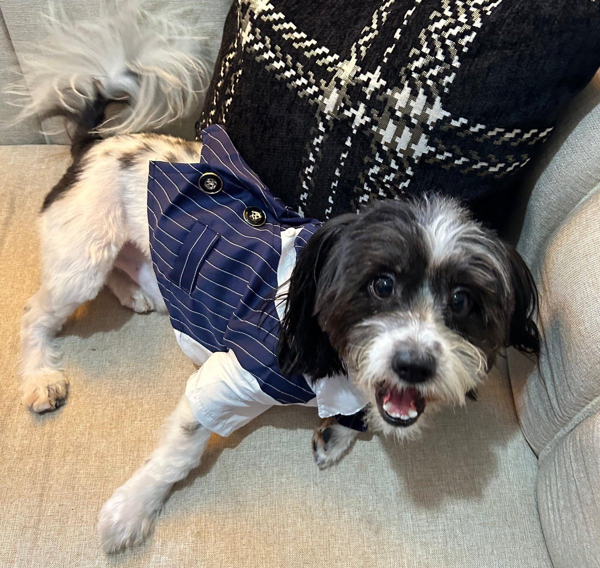 🎄#FelizNavidad🎄