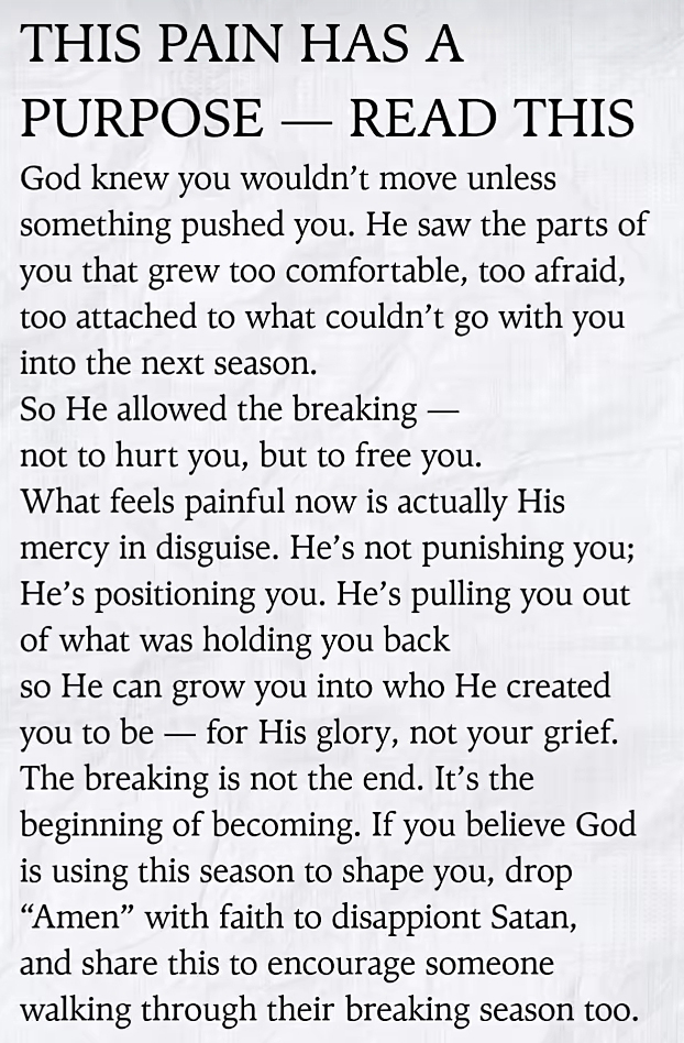 FluffyKittenChan tweet media