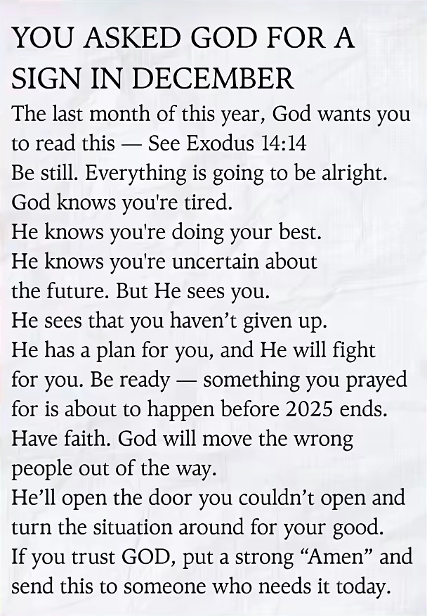 FluffyKittenChan tweet media