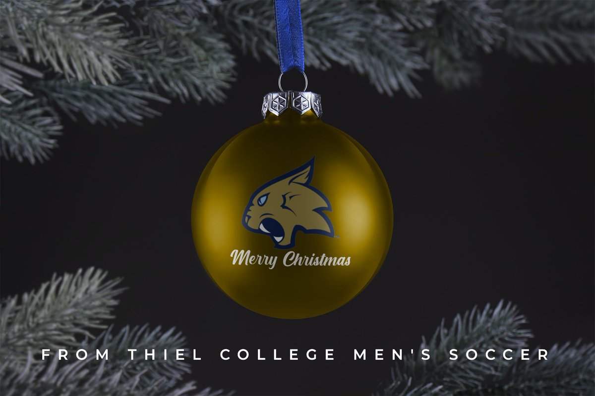 Thiel College Men’s Soccer tweet media