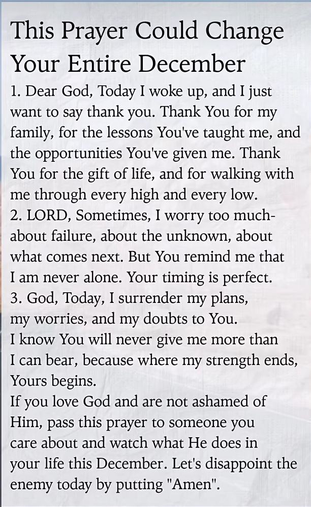 FluffyKittenChan tweet media