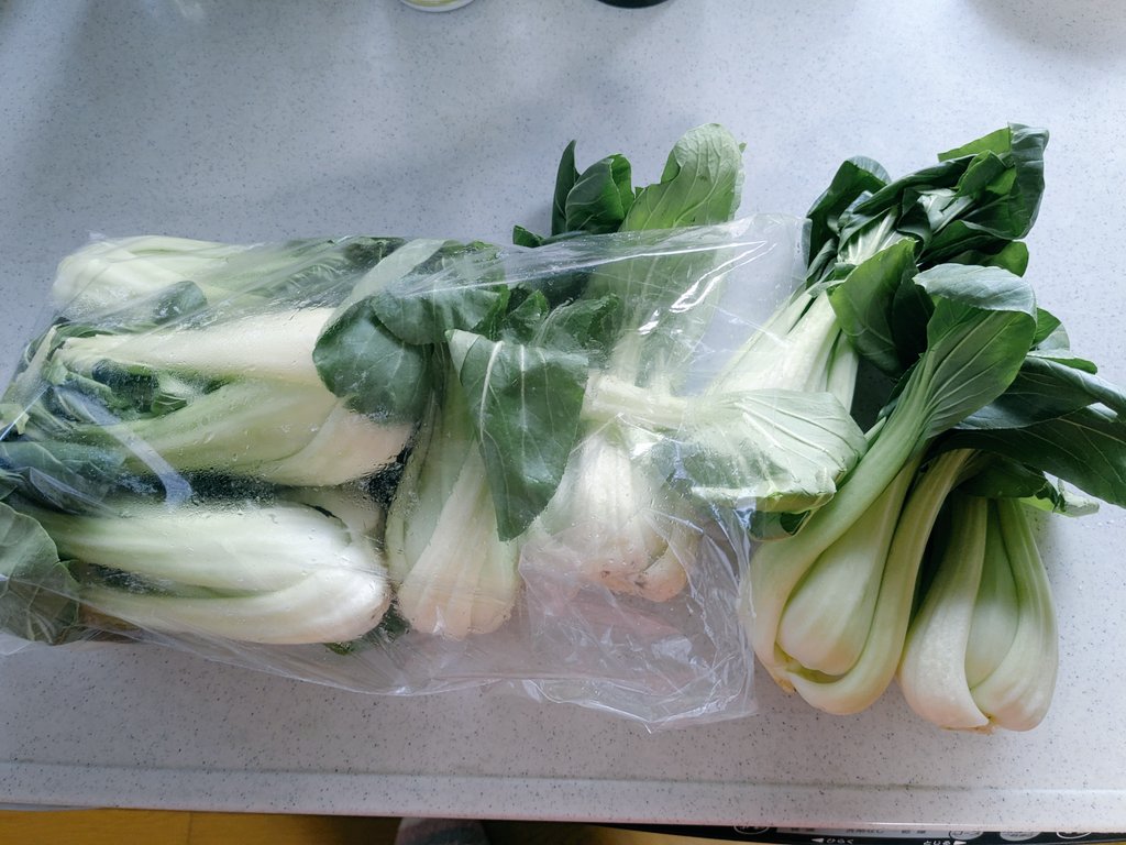 チンゲン菜の袋詰め
11個入りました
100円也

小ぶりですが、こりゃ〜助かりますね🙏✨

※師走ペースダウン中🙇