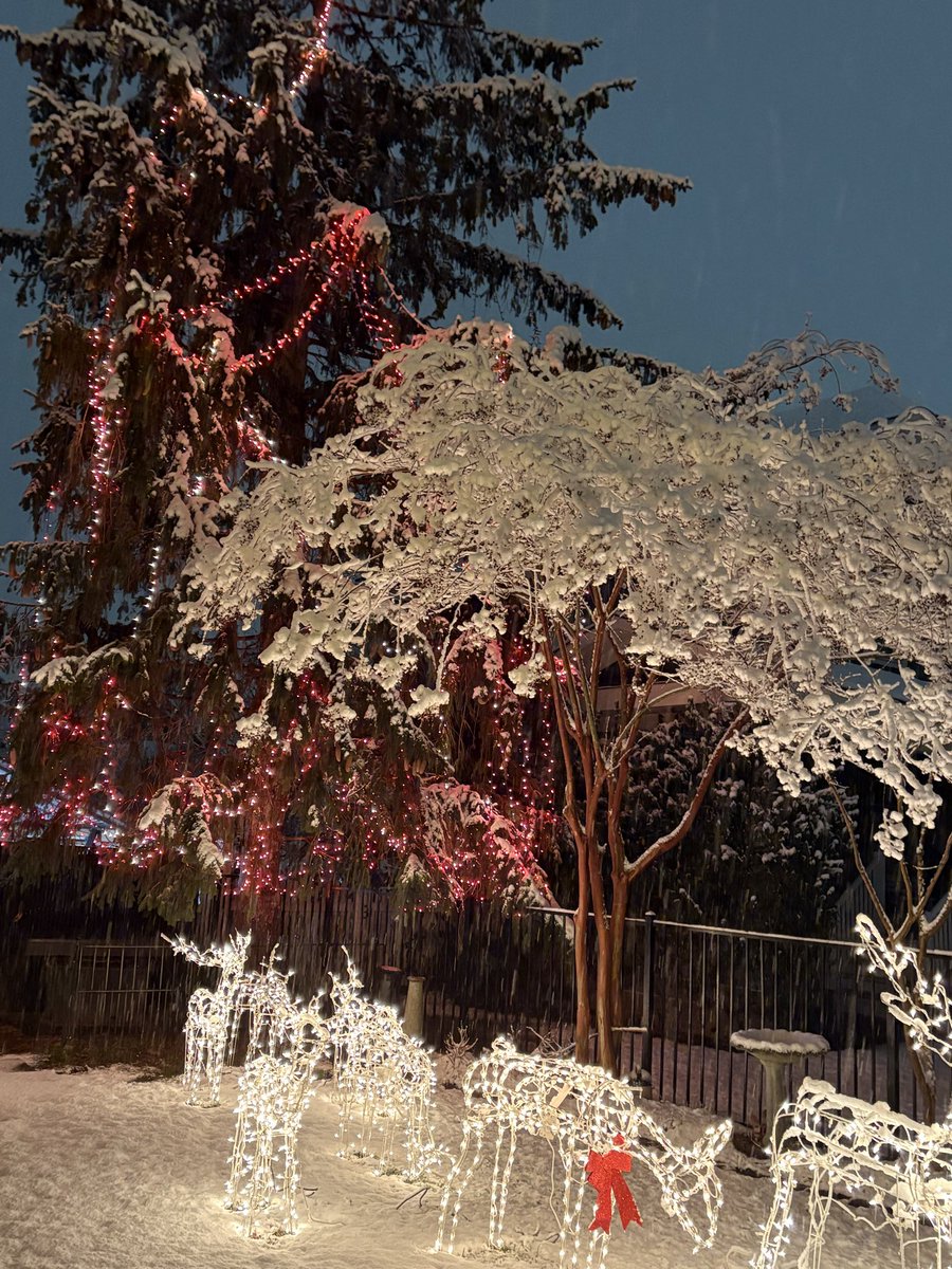 Barry Clark tweet media