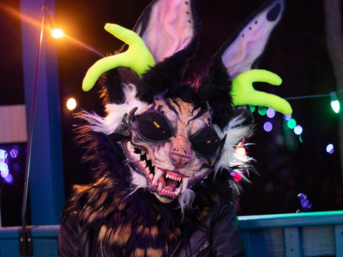 Fountain City Furs tweet media