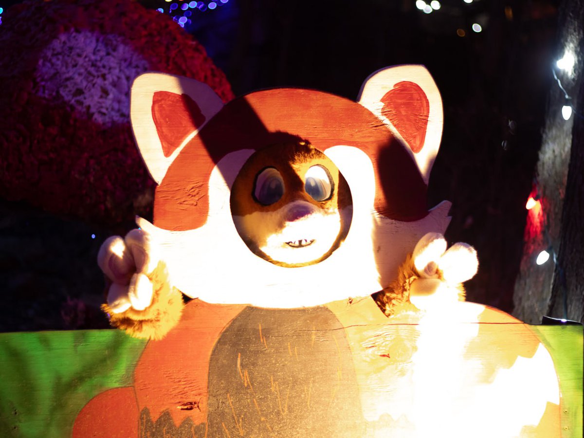 Fountain City Furs tweet media