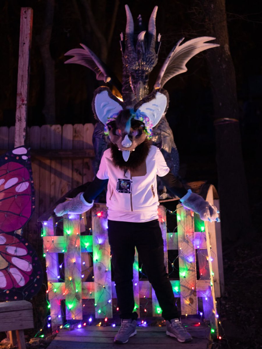 Fountain City Furs tweet media