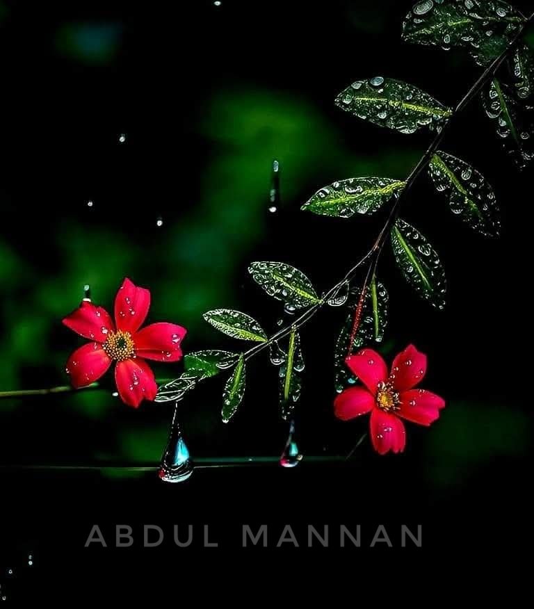 mannan332's tweet photo. https://t.co/dGpJELf8CZ