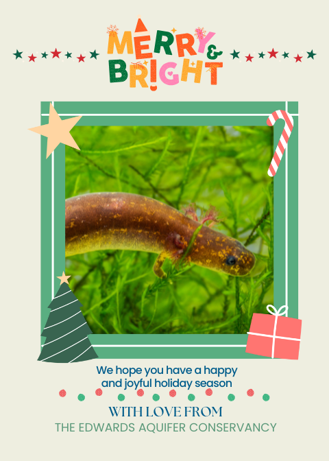 eaconservancy's tweet photo. We hope you have a happy and joyful holiday season! https://t.co/OEFTQ5cLJb