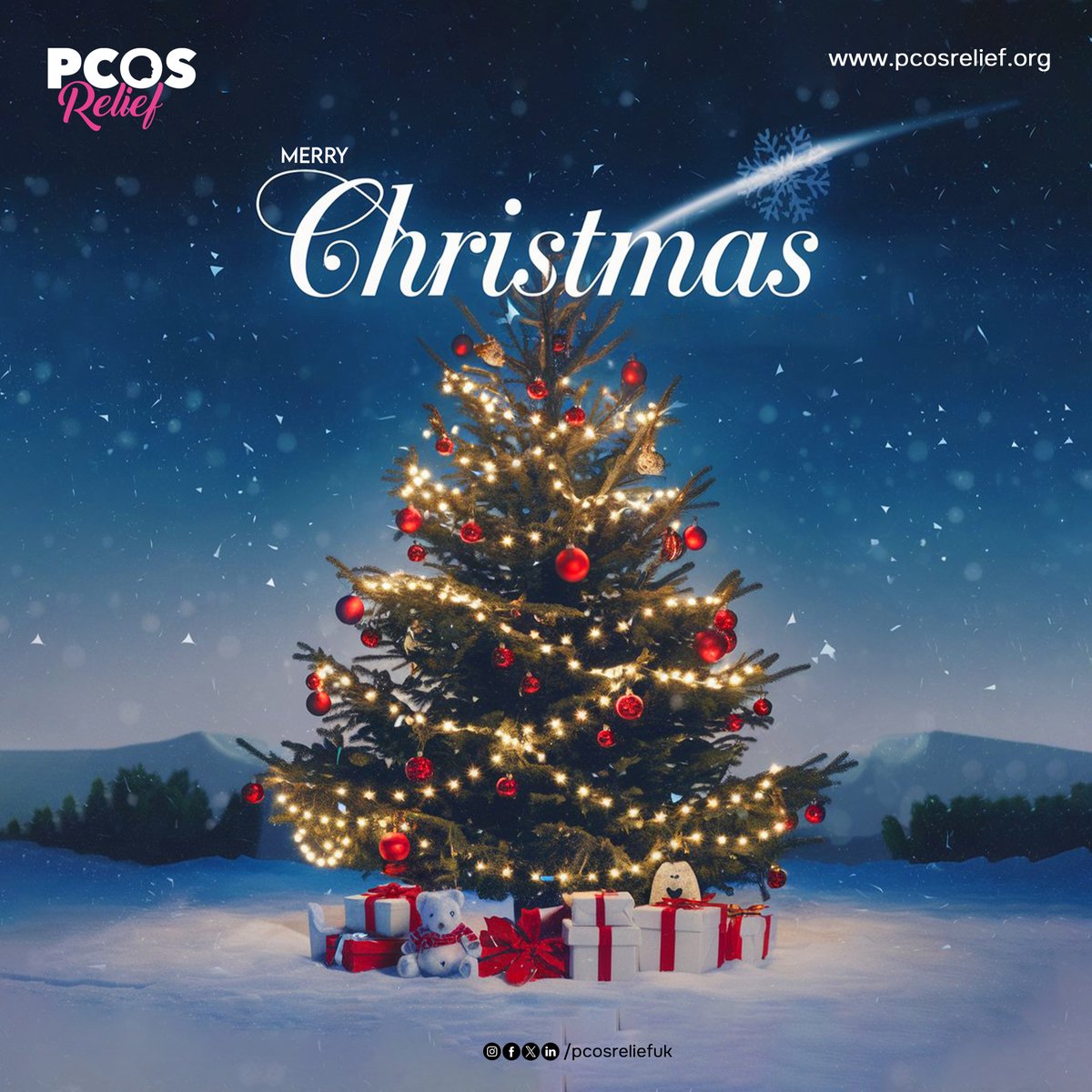 PCOS Relief UK tweet media