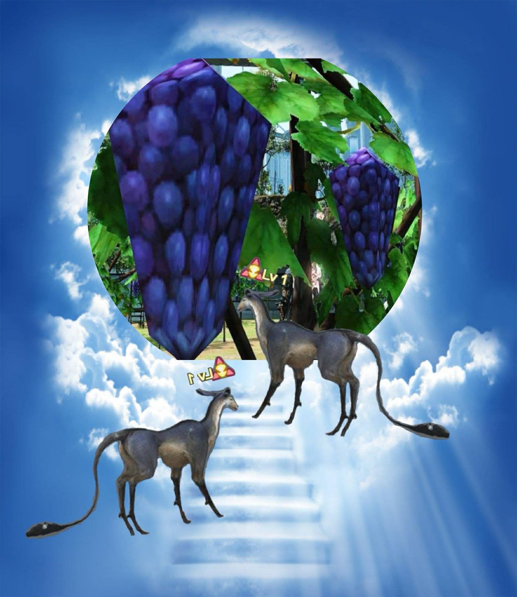 FFXIVDDOS's tweet image. 