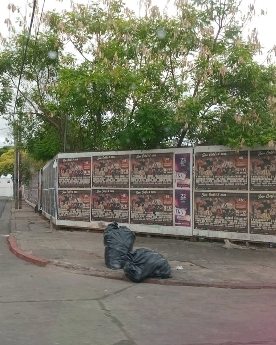 A pesar de que los horarios y días de recolección fueron informados, hubo trabajadores que tuvieron que suspender su Navidad en familia porque algunos decidieron no respetarlos.

El equipo de AF tiene sólo 4 feriados al año.

👉🏻Cumplir el cronogramas no es opcional: ES RESPETO.