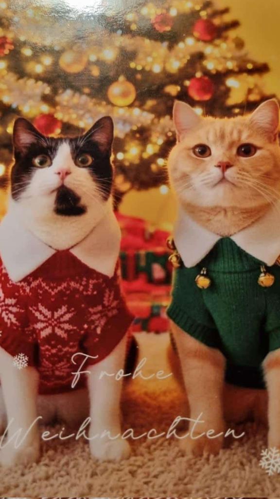 🎄