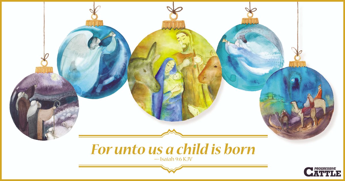 Progressive Cattle tweet media