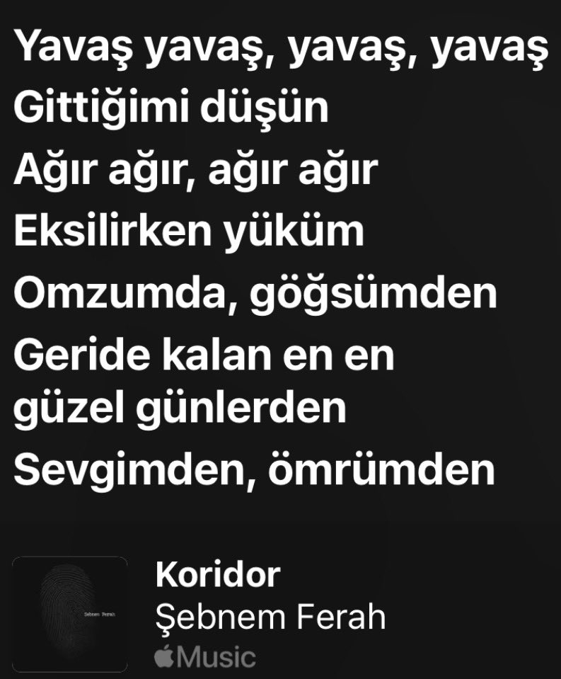 Kprofmmries's tweet photo. #koridor #şebnemferah https://t.co/3plxxIt9cC