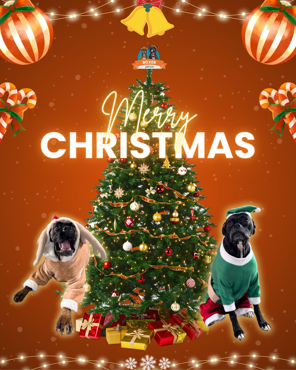 Boxer's tweet image. 🎄 Merry Christmas, Boxer friends &amp;amp; parents! Cain and Lillie are wishing you a paw-fect holiday filled with treatos, extra cuddles, and nonstop love from your favorite pawmily members. 🐶❤️ 

#boxerlife #boxerlove #boxerdog #boxeraddict #dogoftheday #dog #holidays