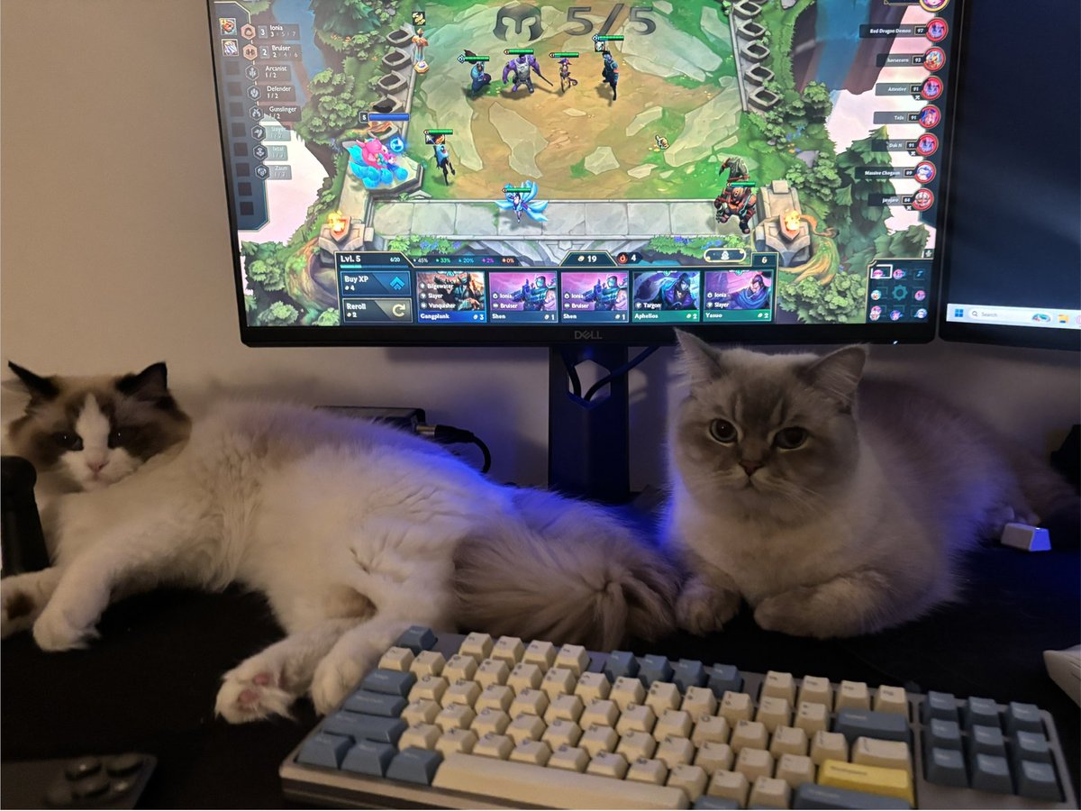 liquid mayumi tweet media