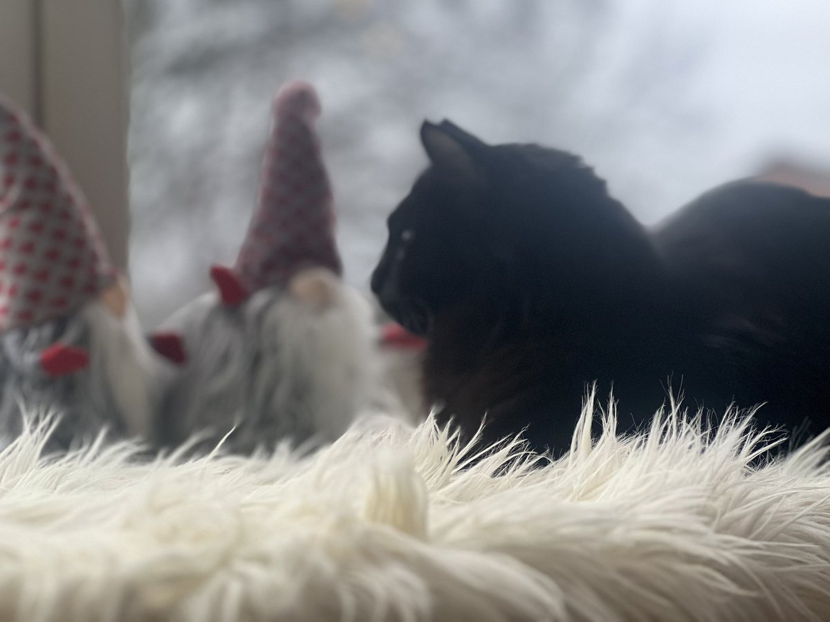 Merry Christmas 🎄🎄
#Catholic