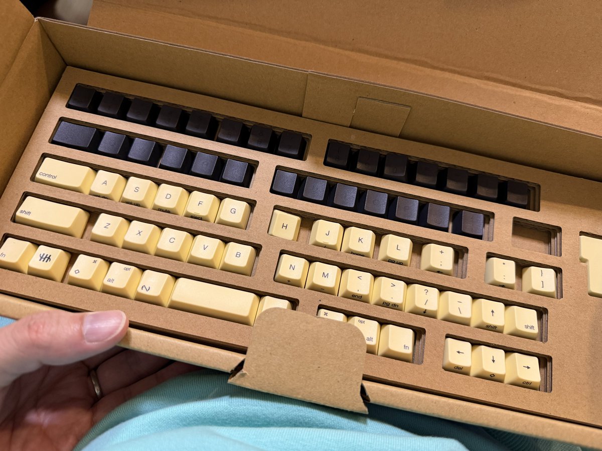 謎のティッシュ ティッシュを挟んで何とかしようとしましたが、元に戻すことにします