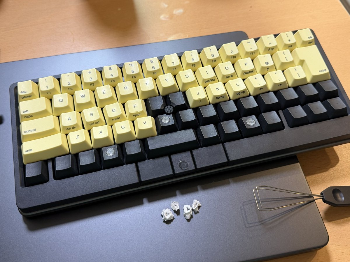 謎のティッシュ ティッシュを挟んで何とかしようとしましたが、元に戻すことにします