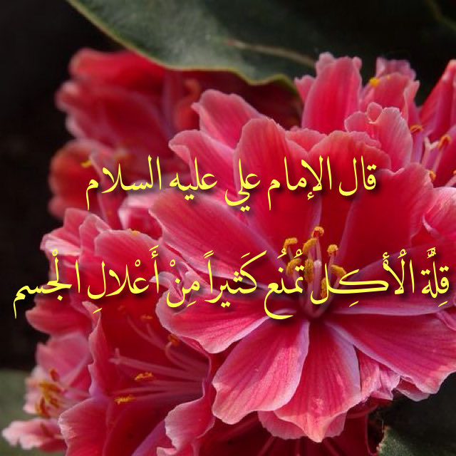 ImamAliWisdom's tweet photo. #حكمة_أعجبتني #حكمة_اليوم #حكمة_اعجبتني #حكمةاليوم #حكمة_الصباح #حكمة_وموعظة #اقوال #اقوال_وحكم #اقوال_مأثورة #أقوال #اقوال_الحكماء #أقوال_وحكم #اقوال_الامام_علي_عليه_السلام #الامام_علي #الإمام_علي #علي_بن_ابي_طالب #imamali #imamaliquotes #aliibnabitalib https://t.co/mMXG2YLECS